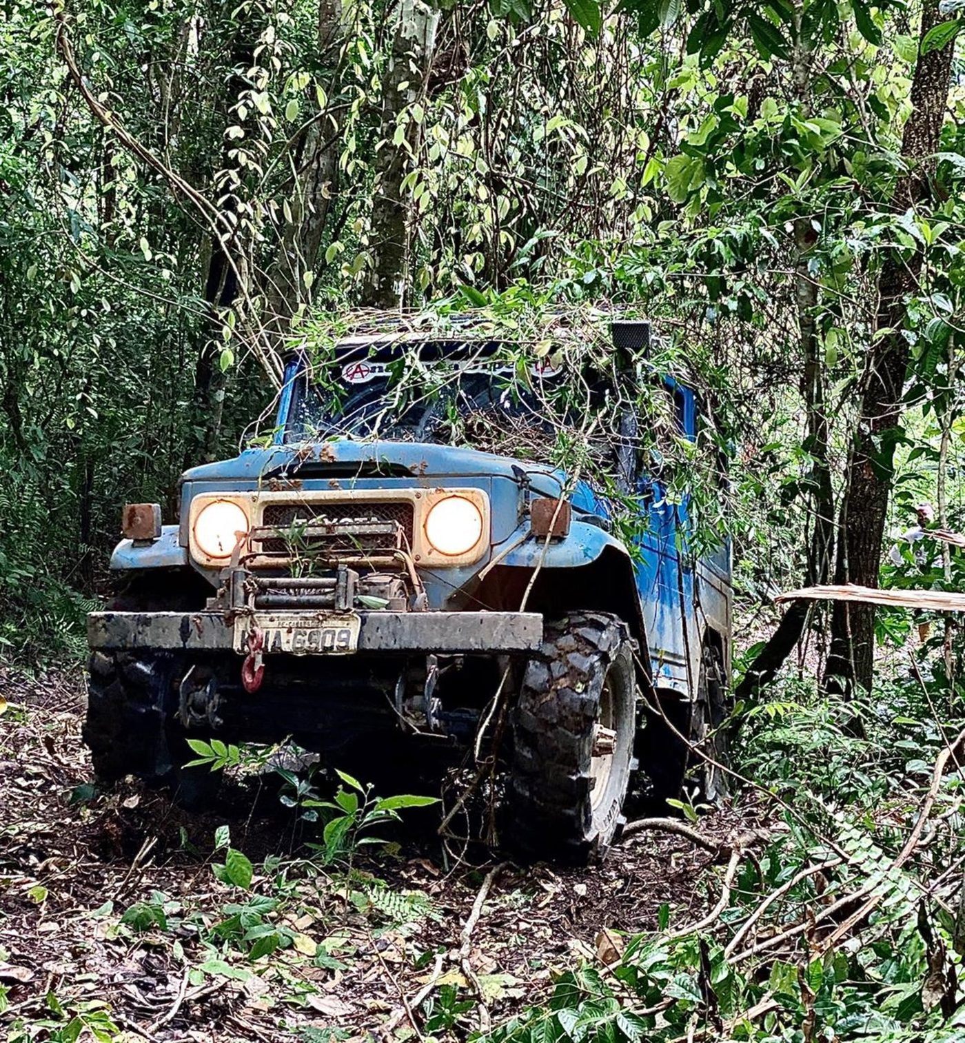 Jeep na mata